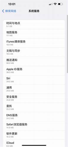 日本dota2服务器根服务器日本_日本服务器名称地址怎么填 2903日本