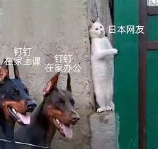 中国电信在日本无服务器中国电信在日本无服务器,从“1”到“400万个”
