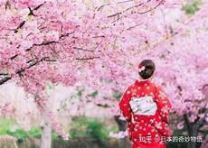 日本服务器哪个牌子好用日本服务器哪个牌子好用,日本云服务