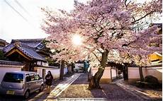 日本 授时 服务器?日本 授时 服务器地址 地址,以下是一些常用的网络